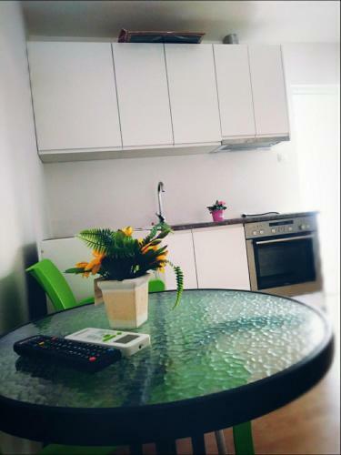 Hostel Omega
