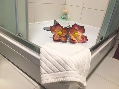 Apartamento San