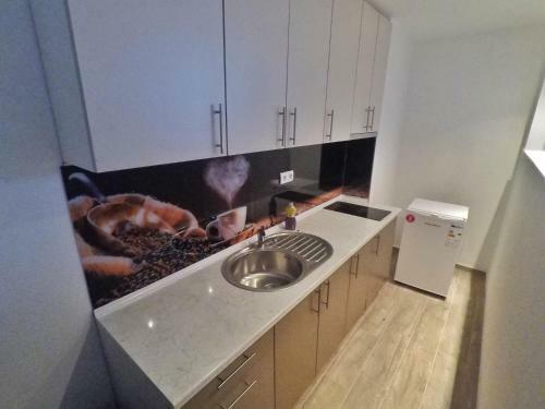 Studio Apartman Centar