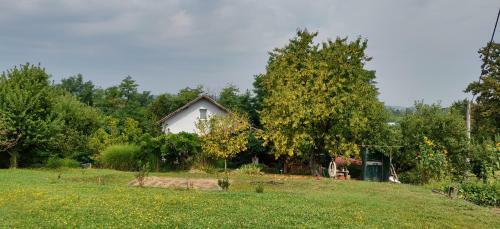 Apartamento Haus Viktoria