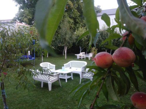 Elite Apartment Jasmina