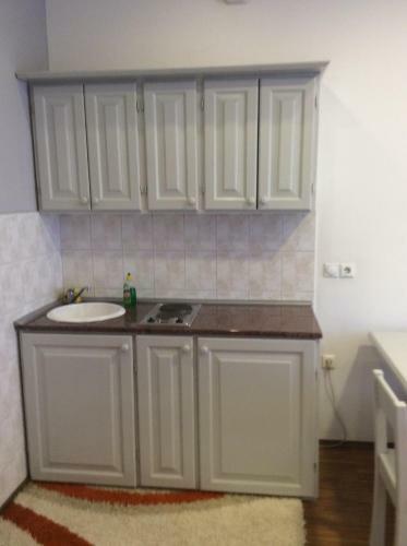 Apartman Lazar, Bn Centar
