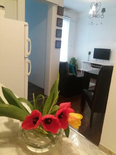 Apartment Snjezana Bn Magic
