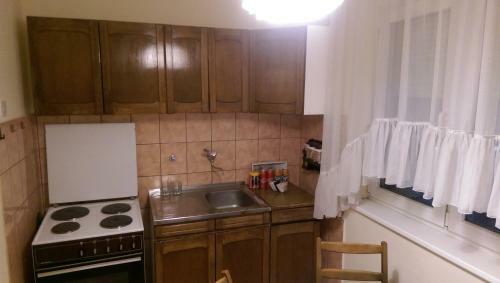 Apartman Skver 55