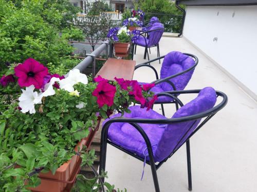 Hostal Villa Daris Blagaj