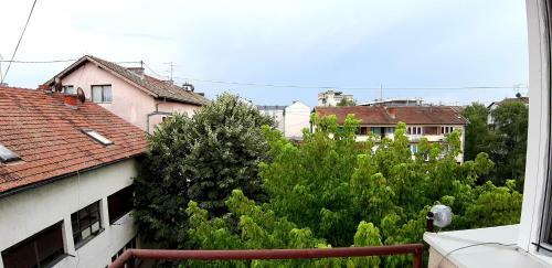 Charming Apartment With Balcony