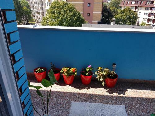 Apartman Sekuli?