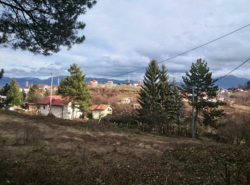 Curovac Nature