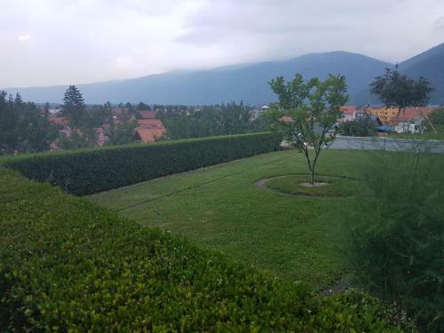 Hotel Panorama View Resort
