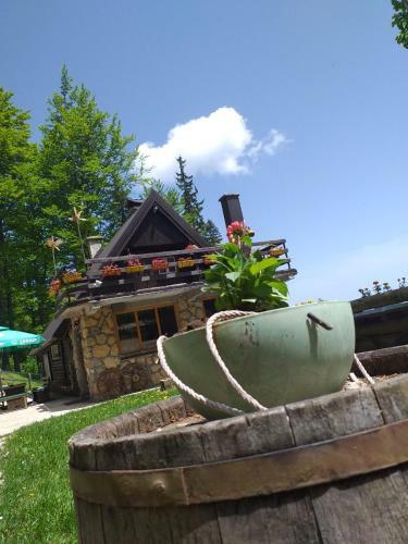 Hostal Guest House Sladjana