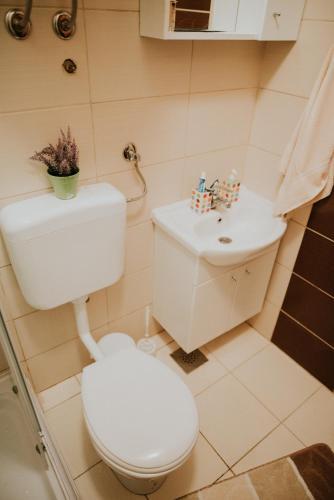 Apartment T&t