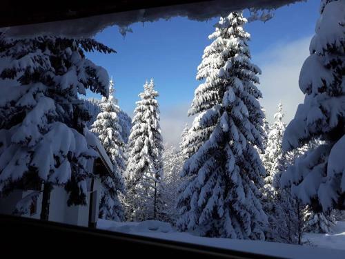 Planinska Idila Apartman