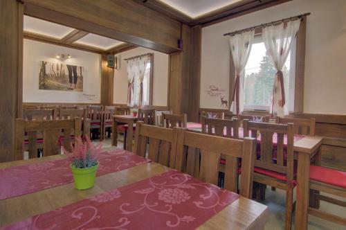Bed & Breakfast Guesthouse Yeti