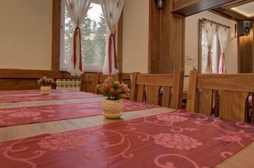 Bed & Breakfast Guesthouse Yeti