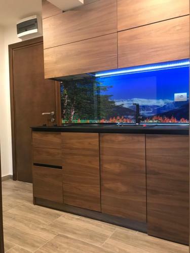 Apartmani Astoria 1