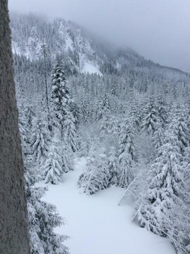 Apartamento Zimska Bajka