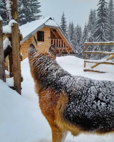 Hostal Etno Ku?a ''nada''