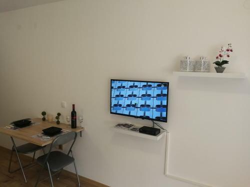 Studio Apartman Aras