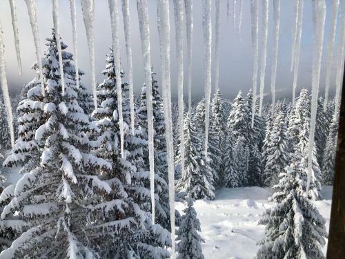 Apartamento Montana Jahorina