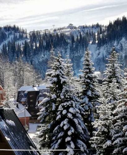 Apartamento Montana Jahorina