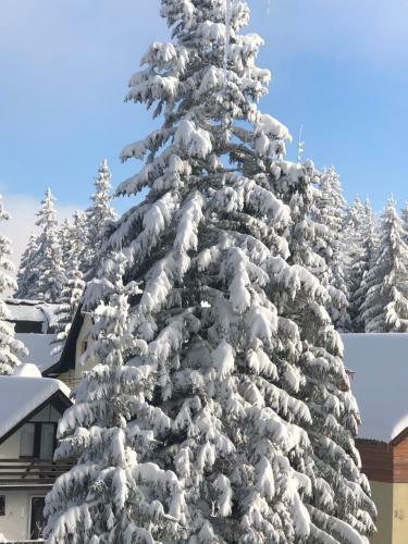 Apartamento Montana Jahorina