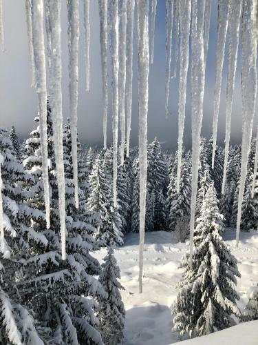 Apartamento Montana Jahorina