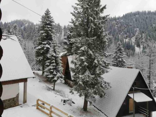 Apartamento Vila Jahorina