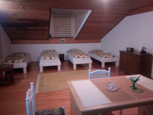 Albergue Kamena ?uprija