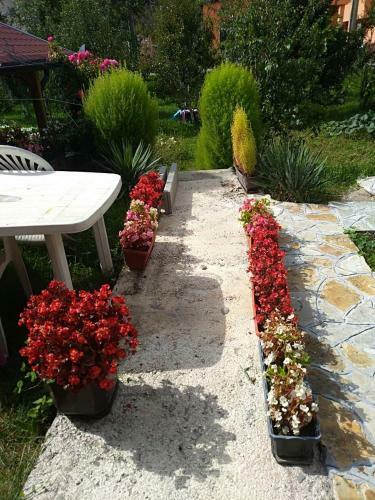 Apartment Beganovic-centar
