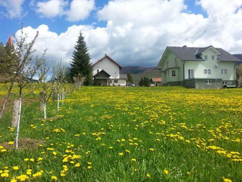Apartman M. Rados