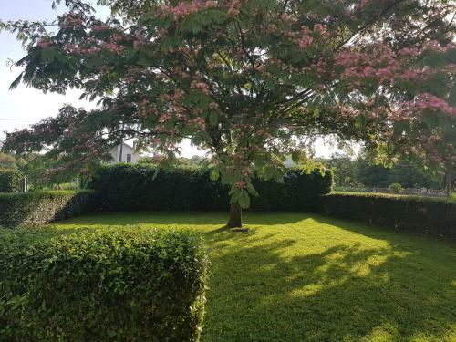 Villa Guesthouse Kravica