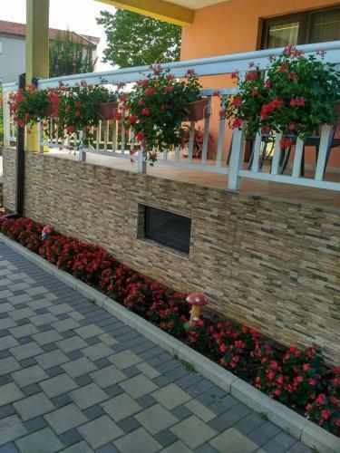 Hostal Ivana Rooms