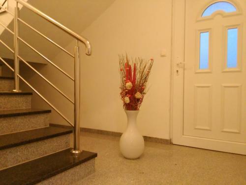 Bed & Breakfast Villa Aurora Me?ugorje