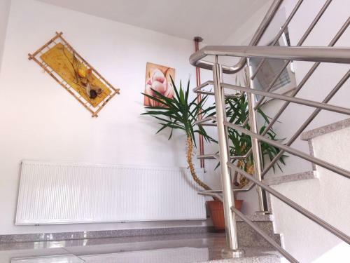 Rooms Soldo