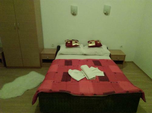 Hostal Pansion Viola