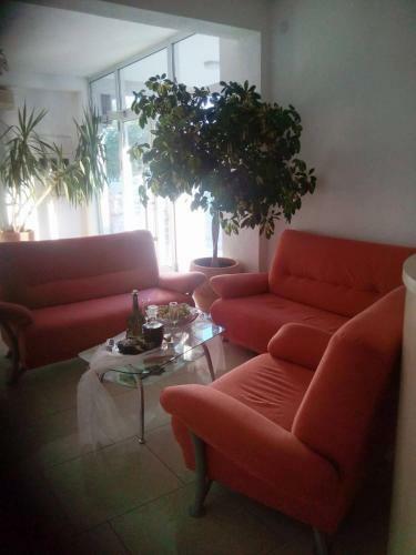 Hostal Pansion Viola