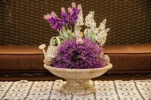 Bed & Breakfast Pansion Vasilj