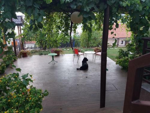 Sova Apartments