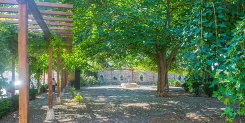 Rooftop Terrace Apartment