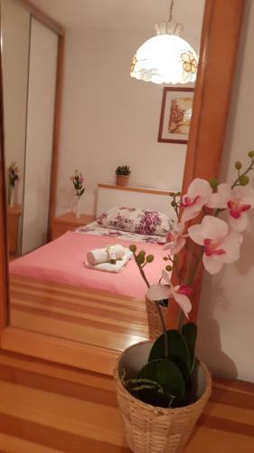 Apartamento Galeria Nura
