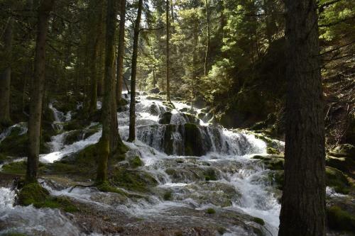 Villa Vila Vlajic