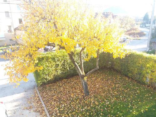 Apartamento Biljana Sweet Home