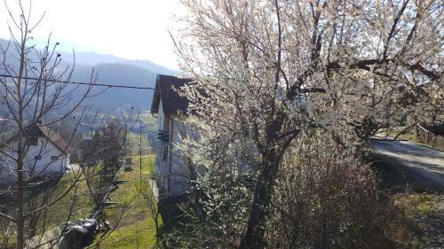 Vikend Ku?a Careva ?uprija