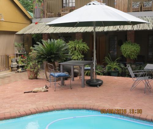 Hostal Olive Leaves Guest House