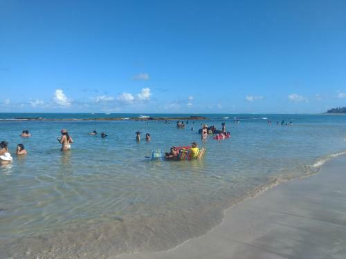 Tamandar�