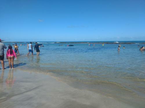 Tamandar�