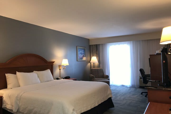 Hotel Hampton Inn Daytona Shores-oceanfront