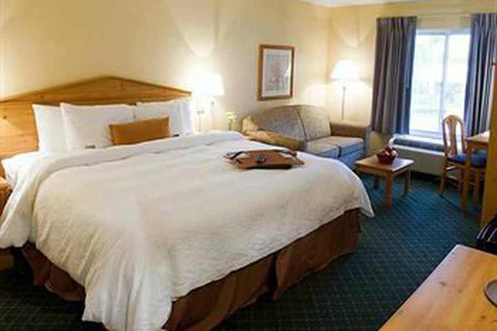 Hotel Hampton Inn & Suites New Orleans-elmwood