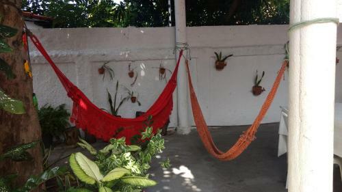 Hotel Teresinense