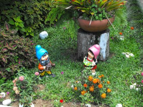 Hotel Pousada Cascata Dos Amores